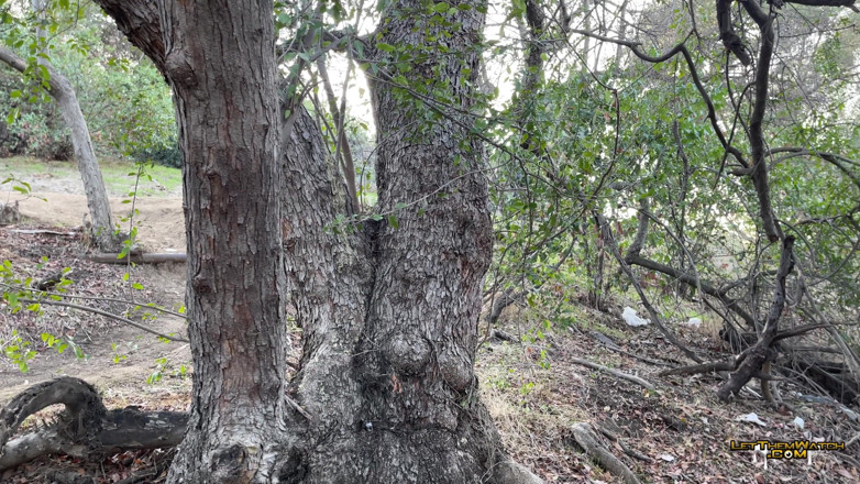 Let them watch: Juven Porfi Se Fait Baiser Sans Capote Dans La Nature!...