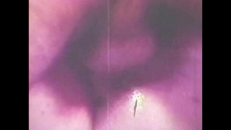 Vintage Megastore Full hd: Prase mi žere vagínu