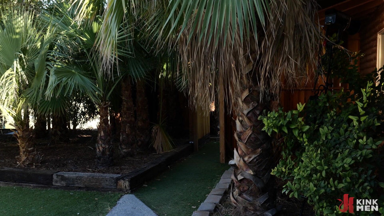 Taken rough: Зрада