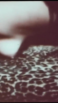 Vintage porno retro teatro erótico - morena celestial