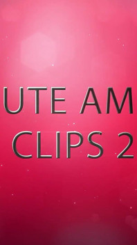 Versaute Amateur Clips 2
