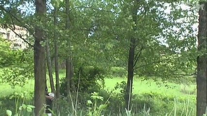 Showtime Official: 想要观看 - 意大利视频恢复为高清