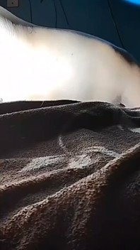 Puchis - Sexy MILF Jugoso Ruidoso Squirting