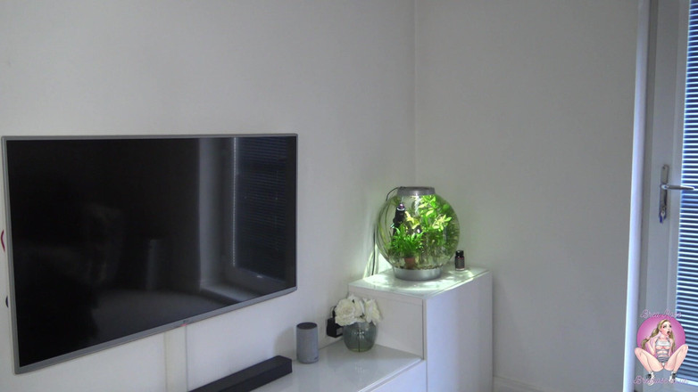 Brea Rose: Cheat with Me - Homewrecker