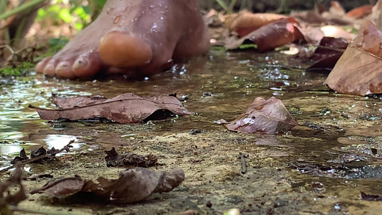 Nuragee: Quando sono andato nella foresta per scegliere il grano