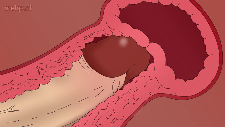 Meltpuff: Oshi No Koaqua neukt zijn stiefzus Ruby en beste vriend...