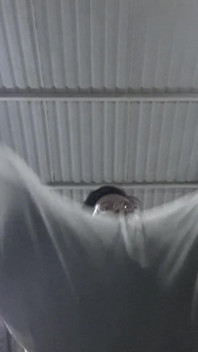 My attempts to record before at the gym.