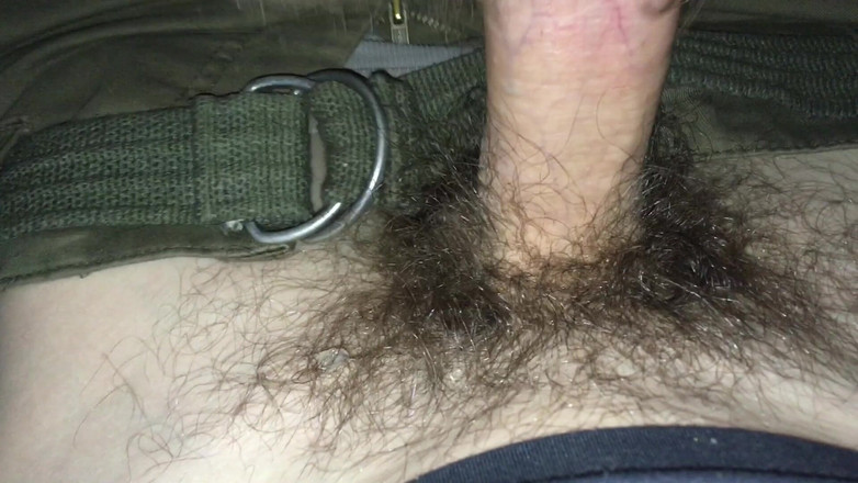 Risky Hairy Couple: いたずらなカップルがバスでセックス