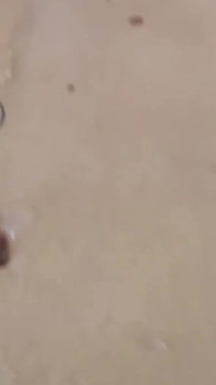 Twink cum compilação parte 17