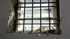 LovedSunsine1990: 我需要一个视频制作者