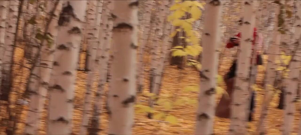 Playground porn: Dado en la boca de una niña en el bosque