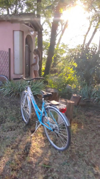 Big Slut Known on the Cycle Path Gets Fucked on the Bench but the Tractor Ruins Everything