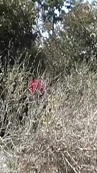 Anal tıknaz 90'ların kızı