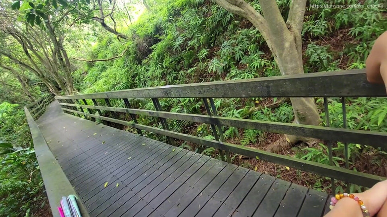 Calven: 人生は山の中の野生の大砲を解放します