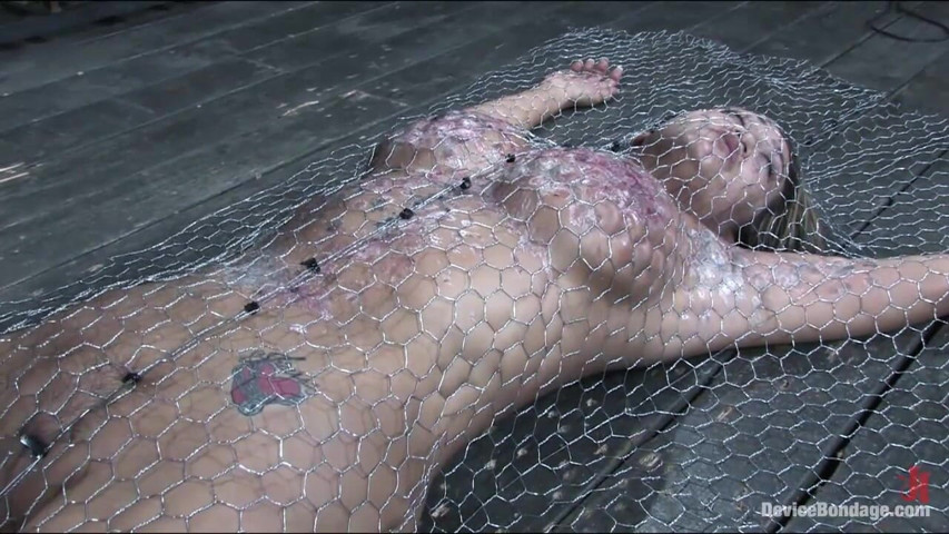 Penned in (Device Bondage by Kink)