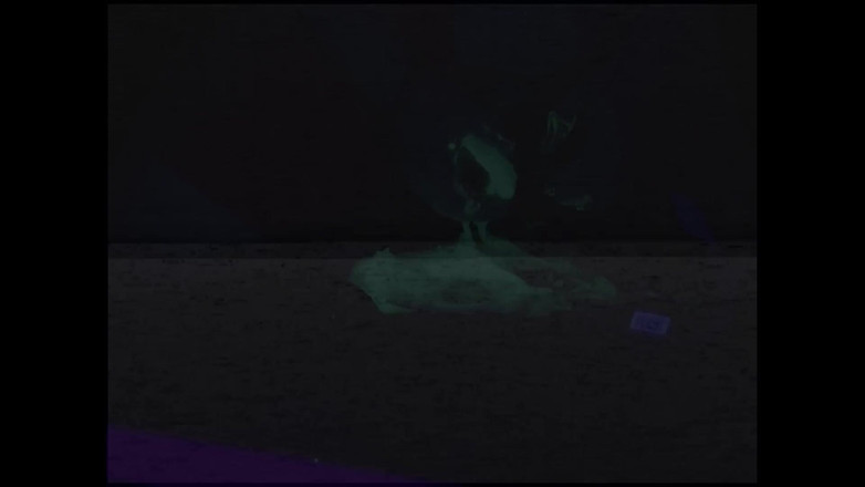 Roxxie rae page: Slimegirl