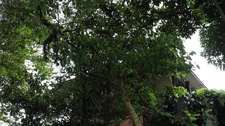 Clarkes Boutaine: O plimbare în parc cu Stella Smeets