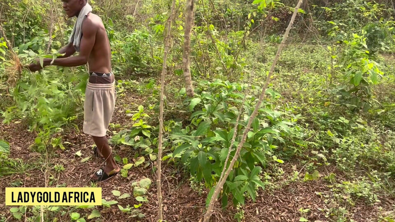 Ladywhite: Putri cantik yang hilang di daerah baru tapi menemukan keduanya