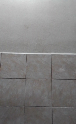 RavenHearth666VIP: First Time with the L Size Bunny Anal Plug