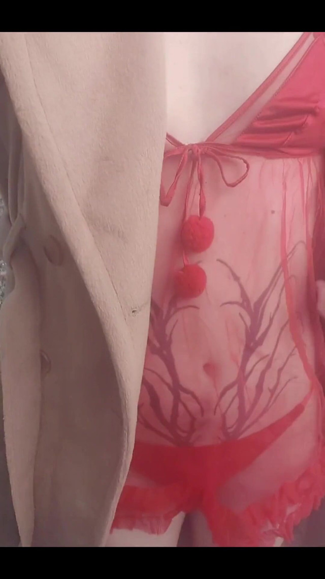 Red Passion (Cherry Orchid)