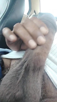 I Brought It in the Pussy