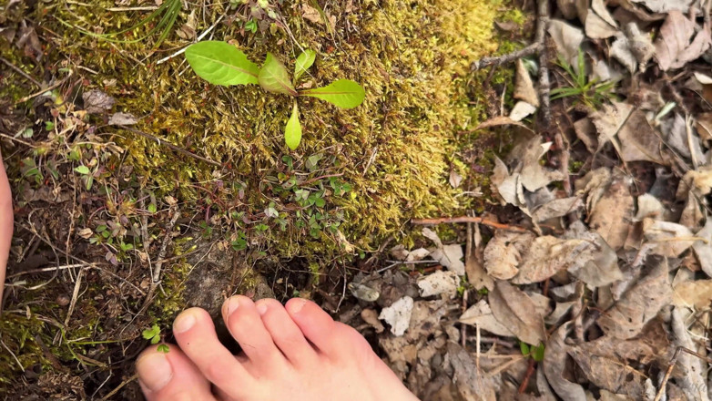 Vasya Sylvia: Barefoot Walk in the Forest - Foot Fetish - Bare Feet!