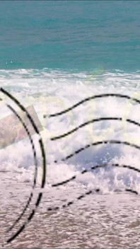 Promotion Tropical Sexual Fever