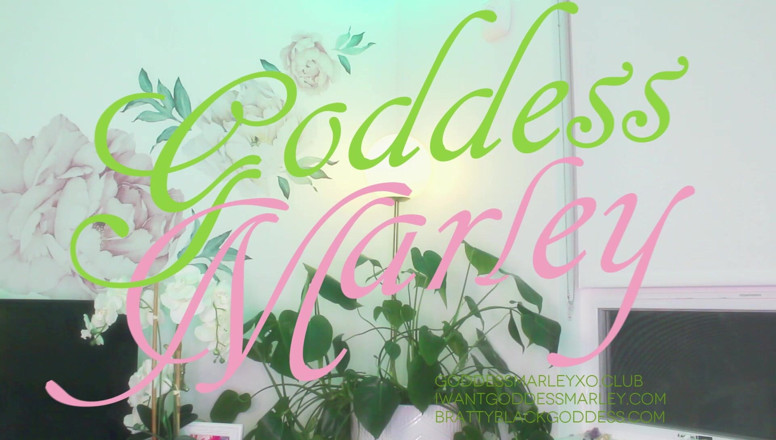 Goddess Marley: Weakling for Big Tits!