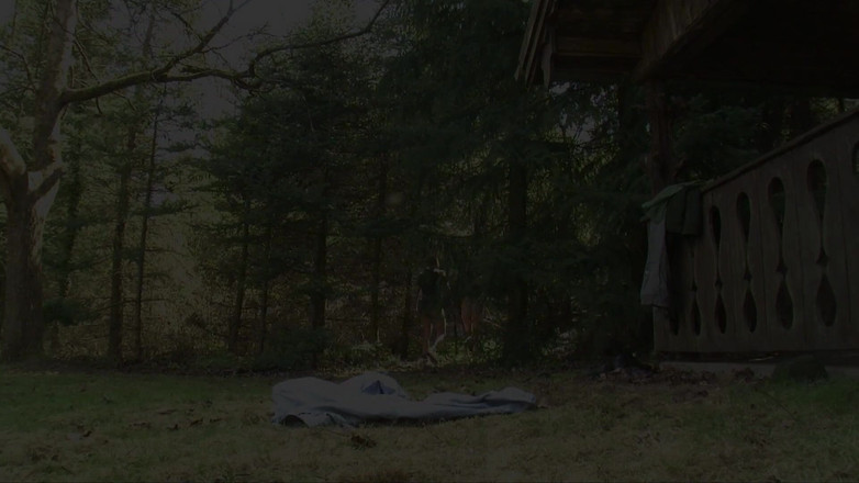 Erotic Club: Дикі секс-історії з лісу!