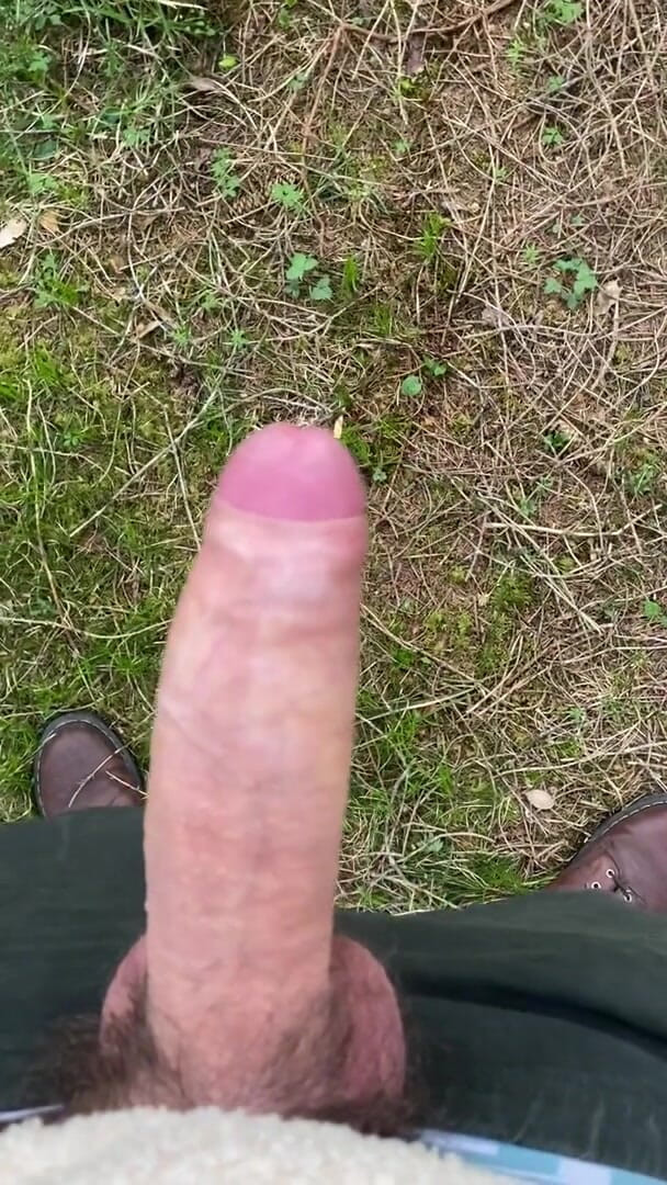 Zaharia: Cum in forest