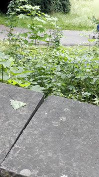ぽっちゃり系の女の子が公園で完璧なずさんな手コキをする - 危険でずさんな