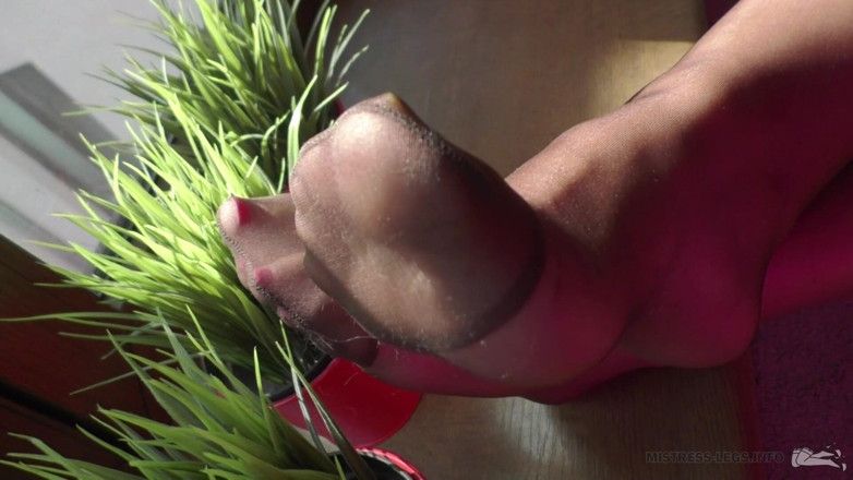 Mistress Legs: Mestra com pernas de nylon na janela