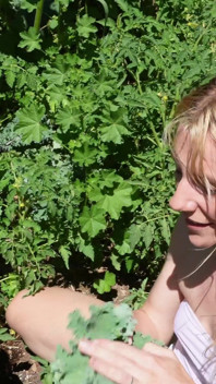 Peeing in My Garden to Water the Plants