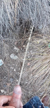 Risky Piss, I Had to Urinate in a Field Behind Some Flats Because My Cock Needed to Pee.