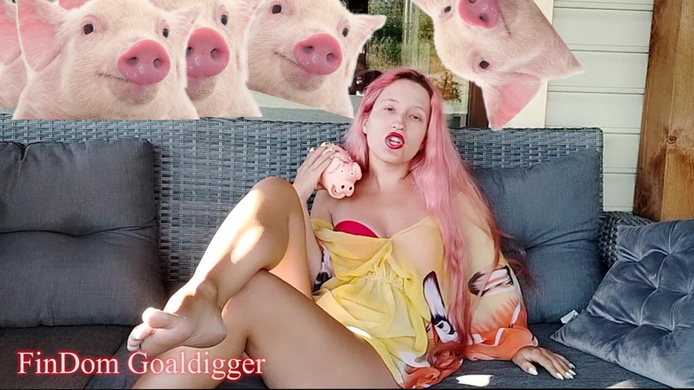 FinDom Goaldigger: Cash slave application form review