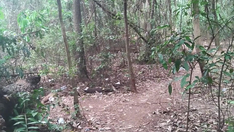 TheBlacKHunterr: ラグーンに立ち寄って、