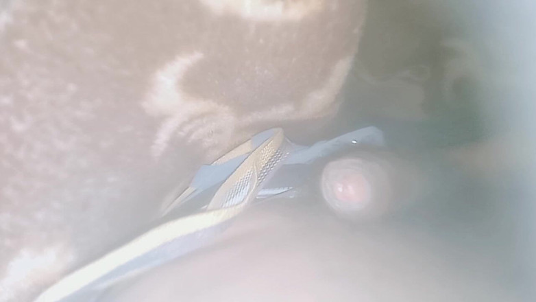 PARAMANANDA: Моя прекрасна дружина