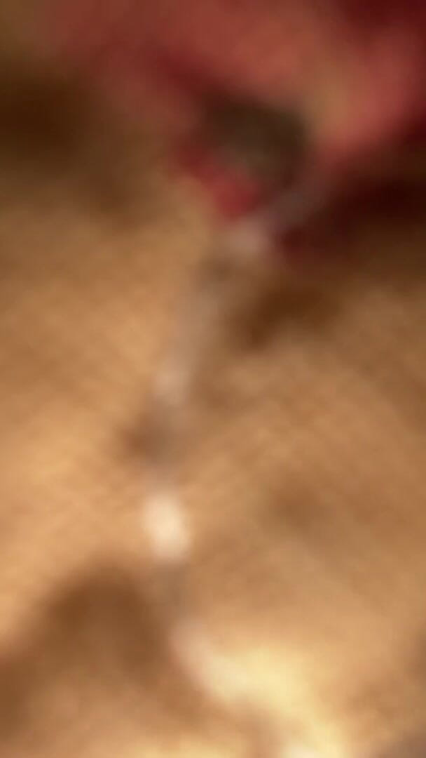MzKiTTy91: Pawg manželka šuká s obrovským ptákem