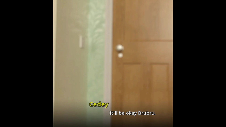 Miss Kitty 2K: Wvm - Part 100 - Trip to Jail by Misskitty2k