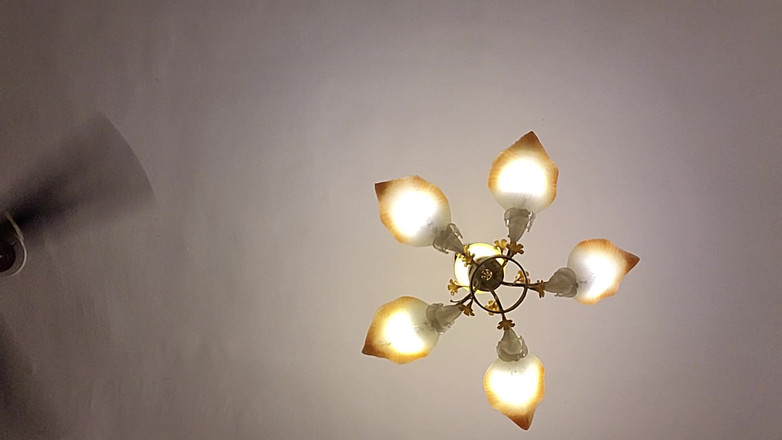 TABOOBREAKERS: Sesso Orale Da Massagist