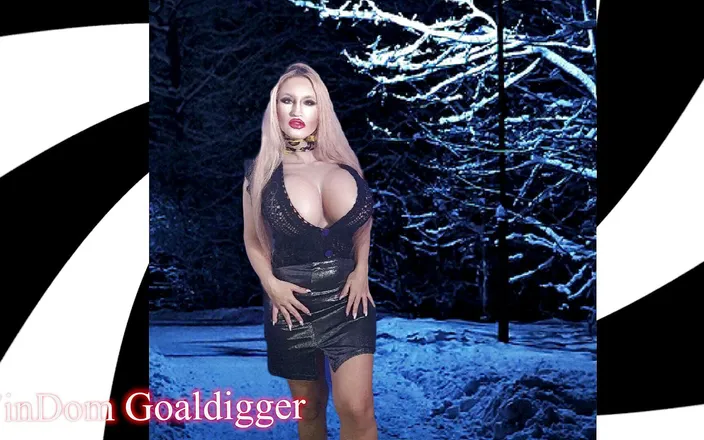 FinDom Goaldigger: My voice is the queen