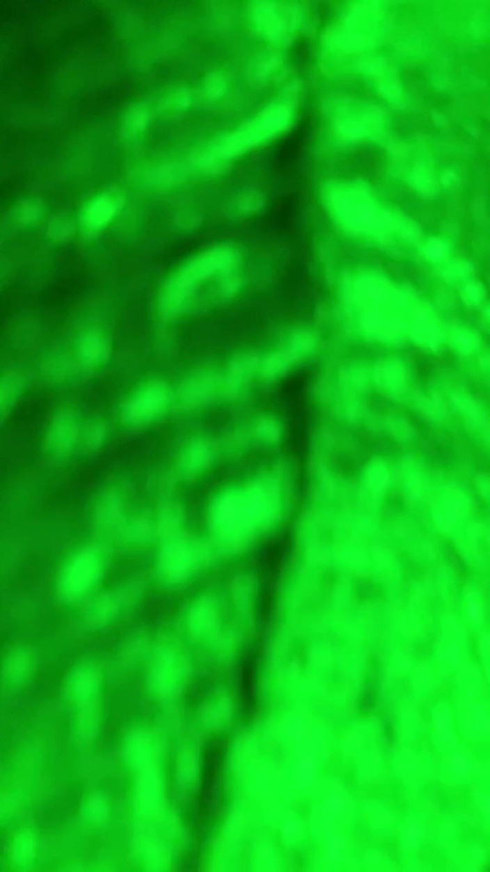 Erree Castle: Wanna Fuck