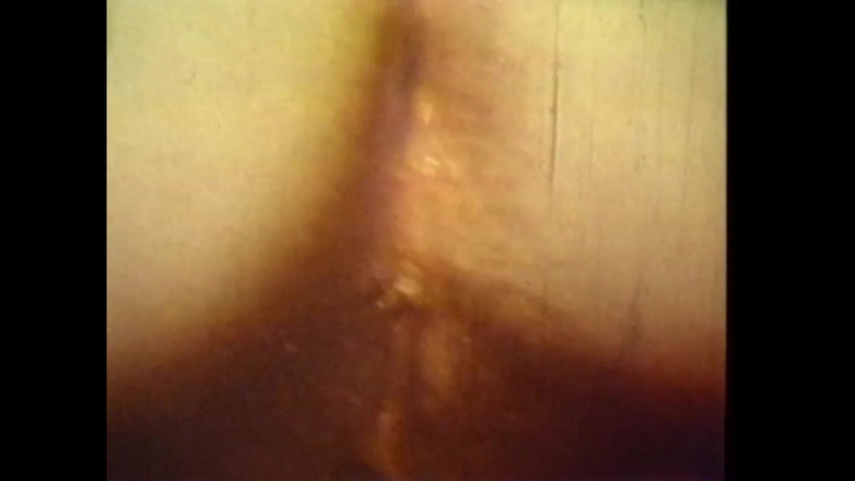 Vintage megastore: Siktir et vahşi tayım