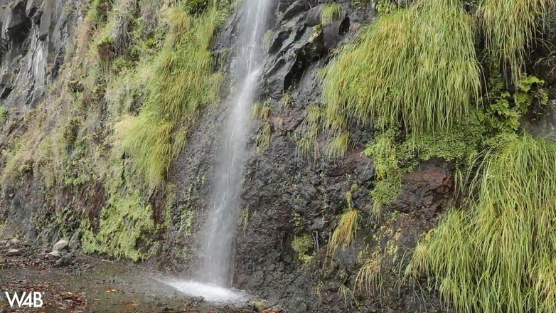 Watch4beauty: Sapphira ile Sunny Madeira