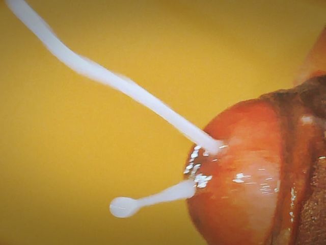 Who All Want This Deep Down Inside Their Vagina? Comment Fast (Sex art straight)