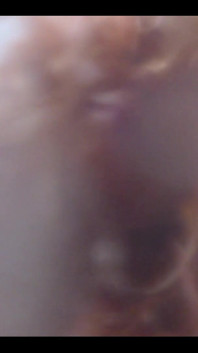 2669865