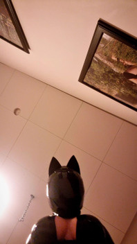 Tell Me How Much You’d Love This POV While Being My Little Human Rest Bench.