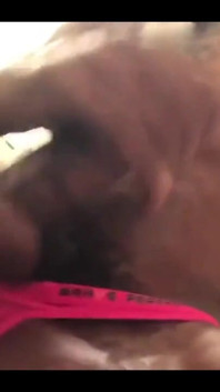 BBC Cumshot