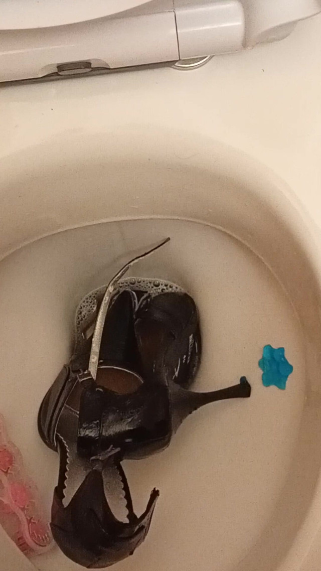 Sexy Pointy High Heels Peed on and Flushed Down the Toilet (High Heels Kingdom)