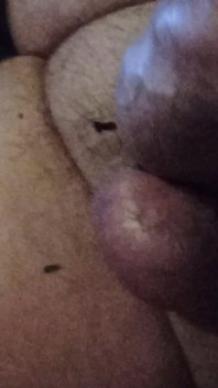 My Stiff Dick